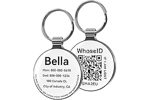 Custom QR Code Dog Tags for Personalized Pet Identification
