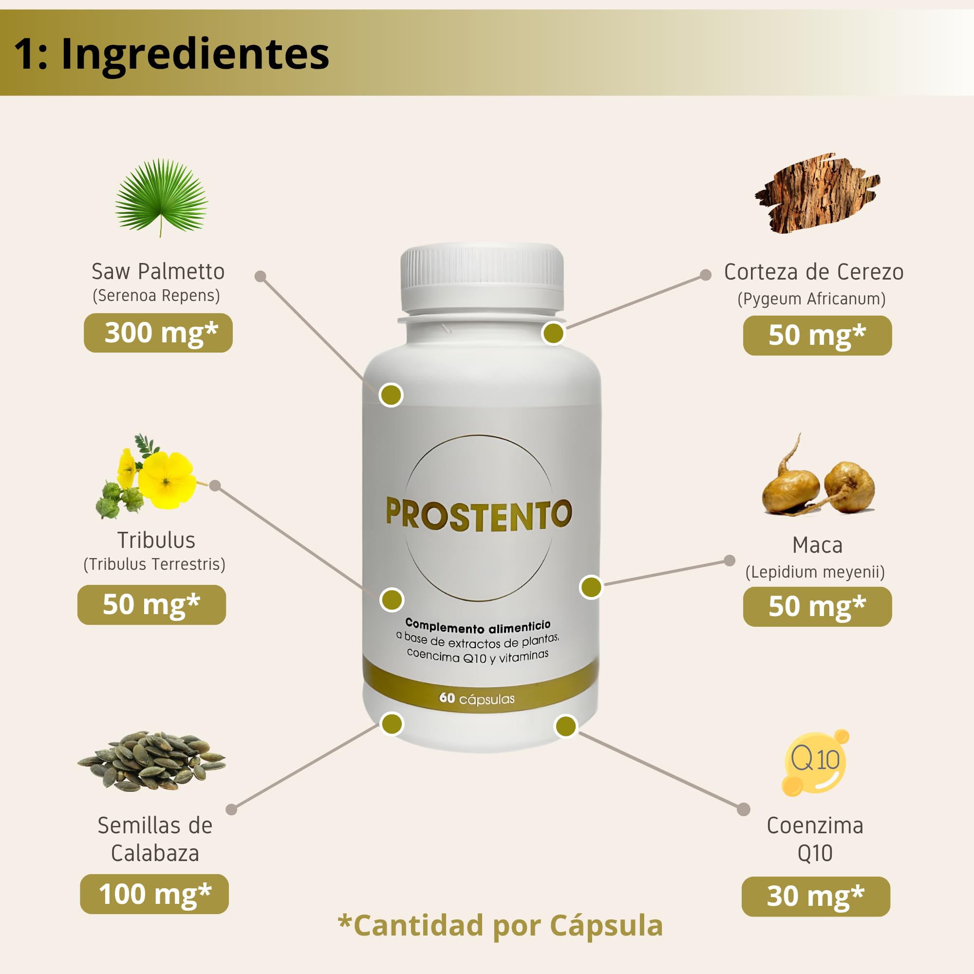 Saw Palmetto 10.500 Mg Próstata Inflamada con Serenoa Repens, Pygeum Africanum, Q10, Maca y Tribulus – Tratamiento Natural - 60 Cápsulas Vegetales para Control Urinario + Antioxidantes – Prostento