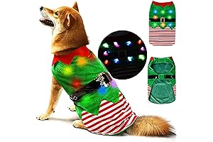 Adorable Elf Pet Clothes for St. Bernard