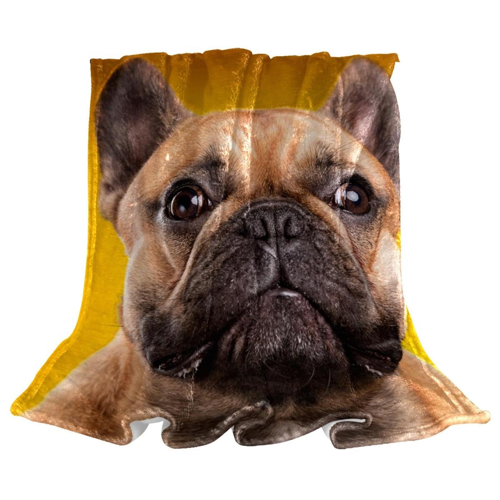 Couverture polaire bouledogue pour stopper le froid sur votre canapé