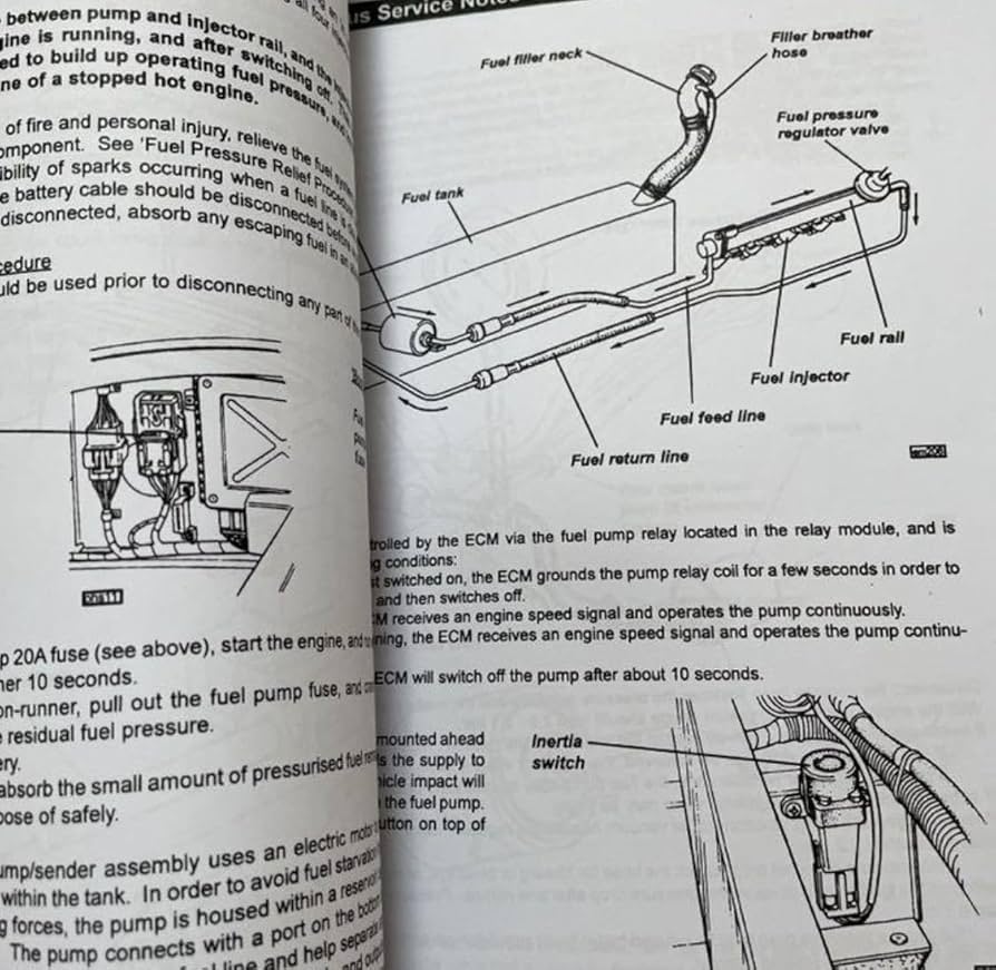 メンテナンス Lotus 61GyinvgPhL._UF350,350_QL80_.jpg
