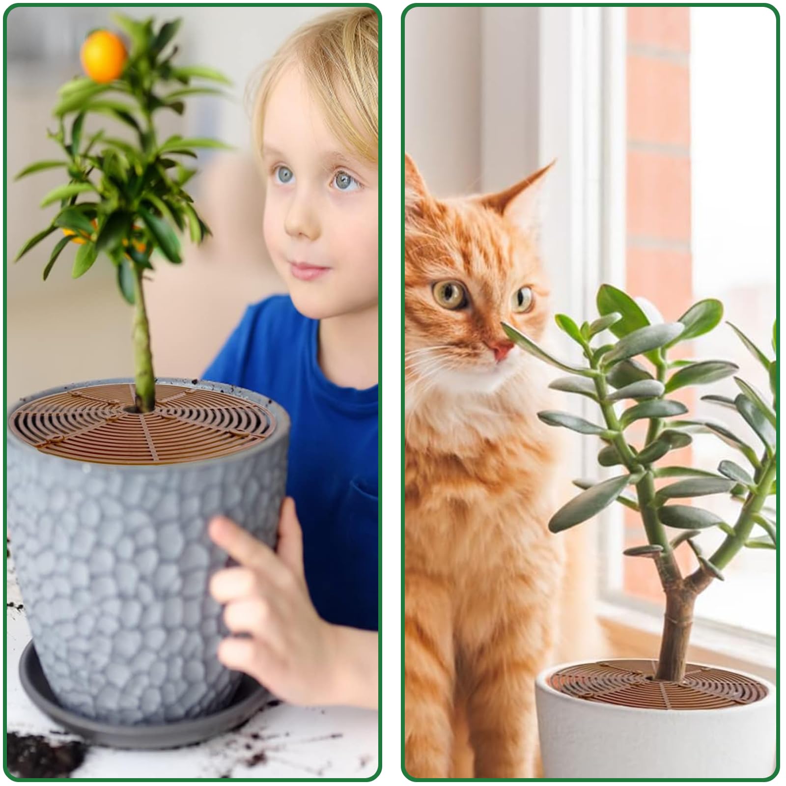 Griglia Protettiva Per Vasi 30-50 Cm Tagliabile - Protegge Piante Da Bambini E Animali