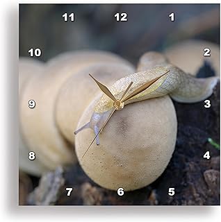 3D Rose Canada-Vancouver. Pear-Shaped Puffball-Reticulate Taildropper slug Wall Clock, 10" x 10"