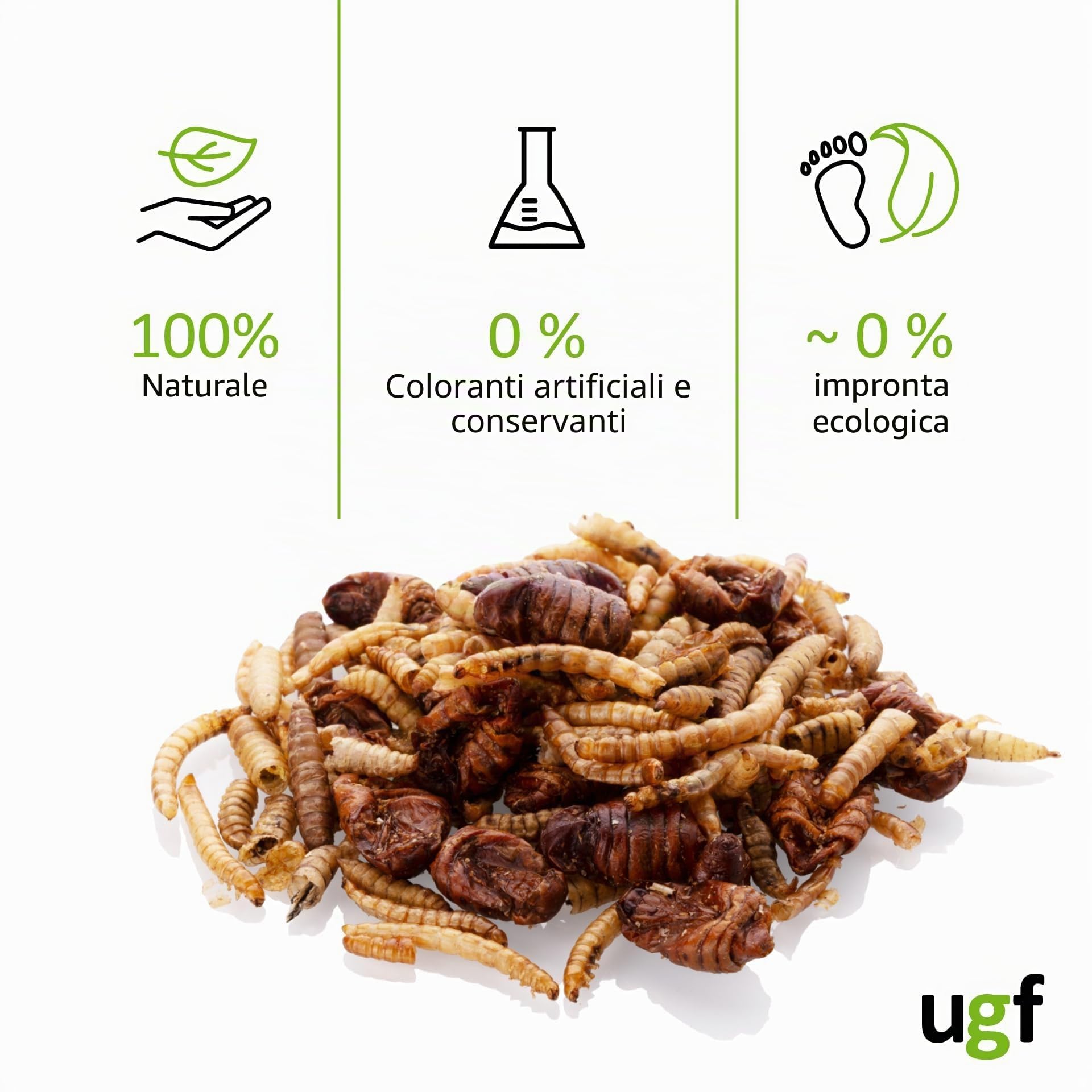 UGF Mix di insetti 80 g 500 ml cibo per ricci, gerbilli, criceti, ratti, lucertole - vermi della farina, larve di mosca soldato nera, bachi da seta