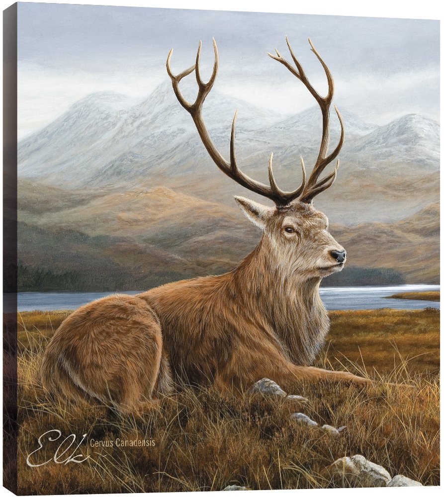Tree Greetings EcoArt Home Decor Wall Plaque, 11.25 x 11.25 Inches, Classic Elk Themed Wildlife Art (85704), 11.25"