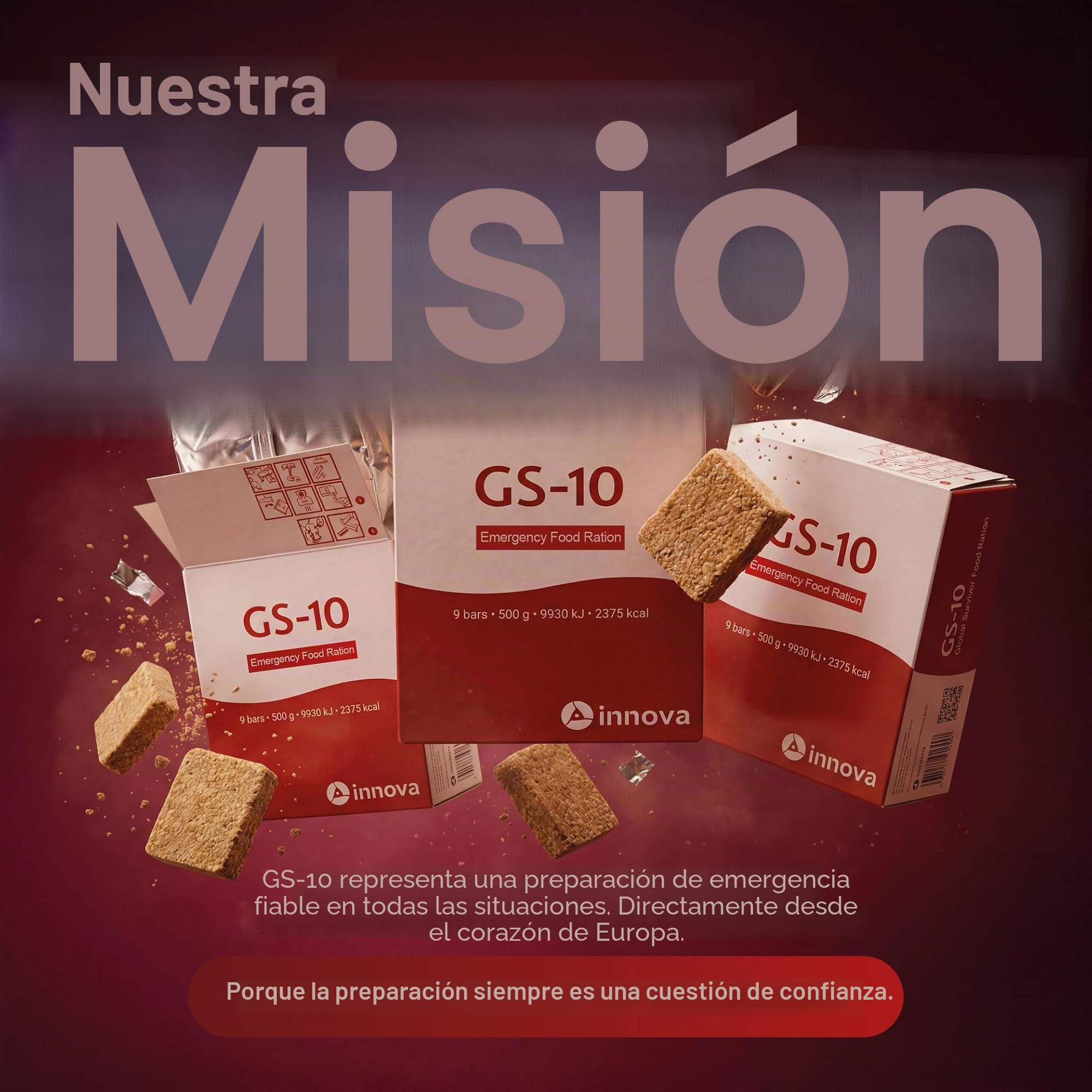 Producto especial GS-10 Comida de emergencia 24 x 500 gramos comida de larga duración - vida útil extremadamente larga (décadas)