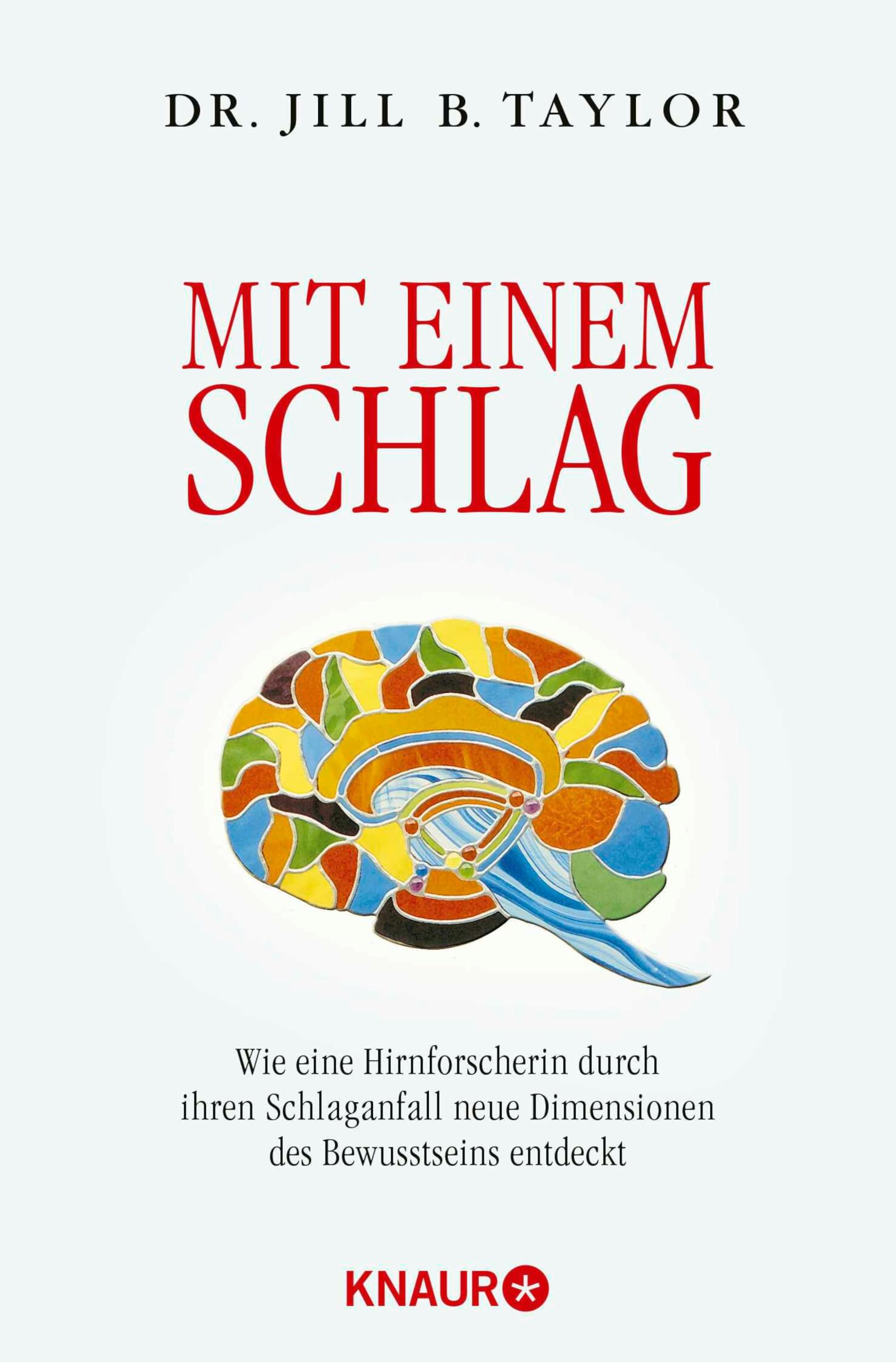 Mit einem Schlag: Wie eine Hirnforscherin durch ihren Schlaganfall neue Dimensionen des Bewusstseins entdeckt