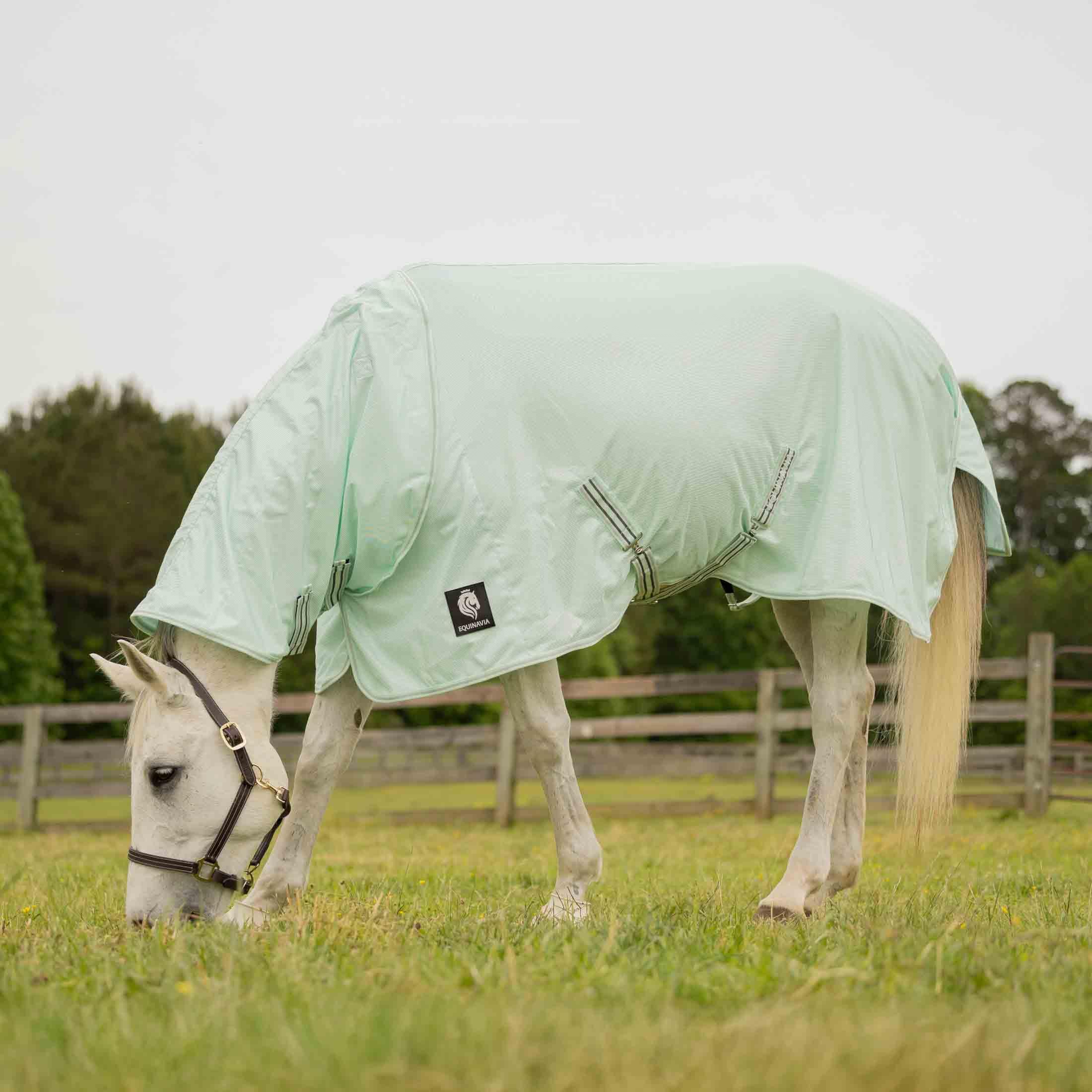 Equinavia Brisk - Telo antimosche in rete con copertura rimovibile per il collo, copertura estesa durevole con protezione UV UPF 45, telo antimosche per cavalli, giada nebbiosa, 190,5 cm