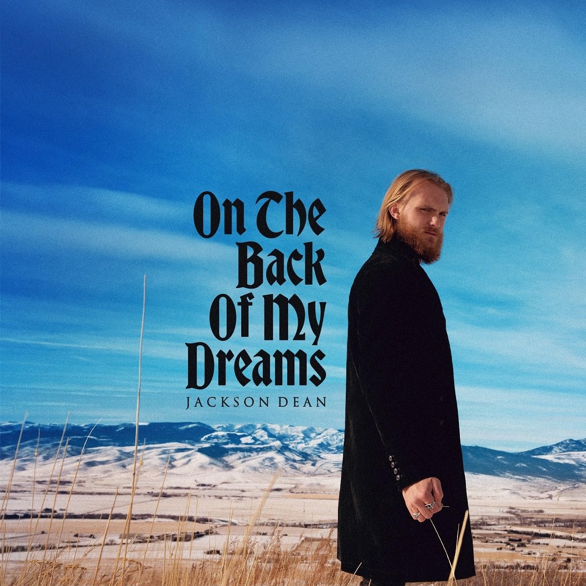 On The Back Of My Dreams [VINYL]