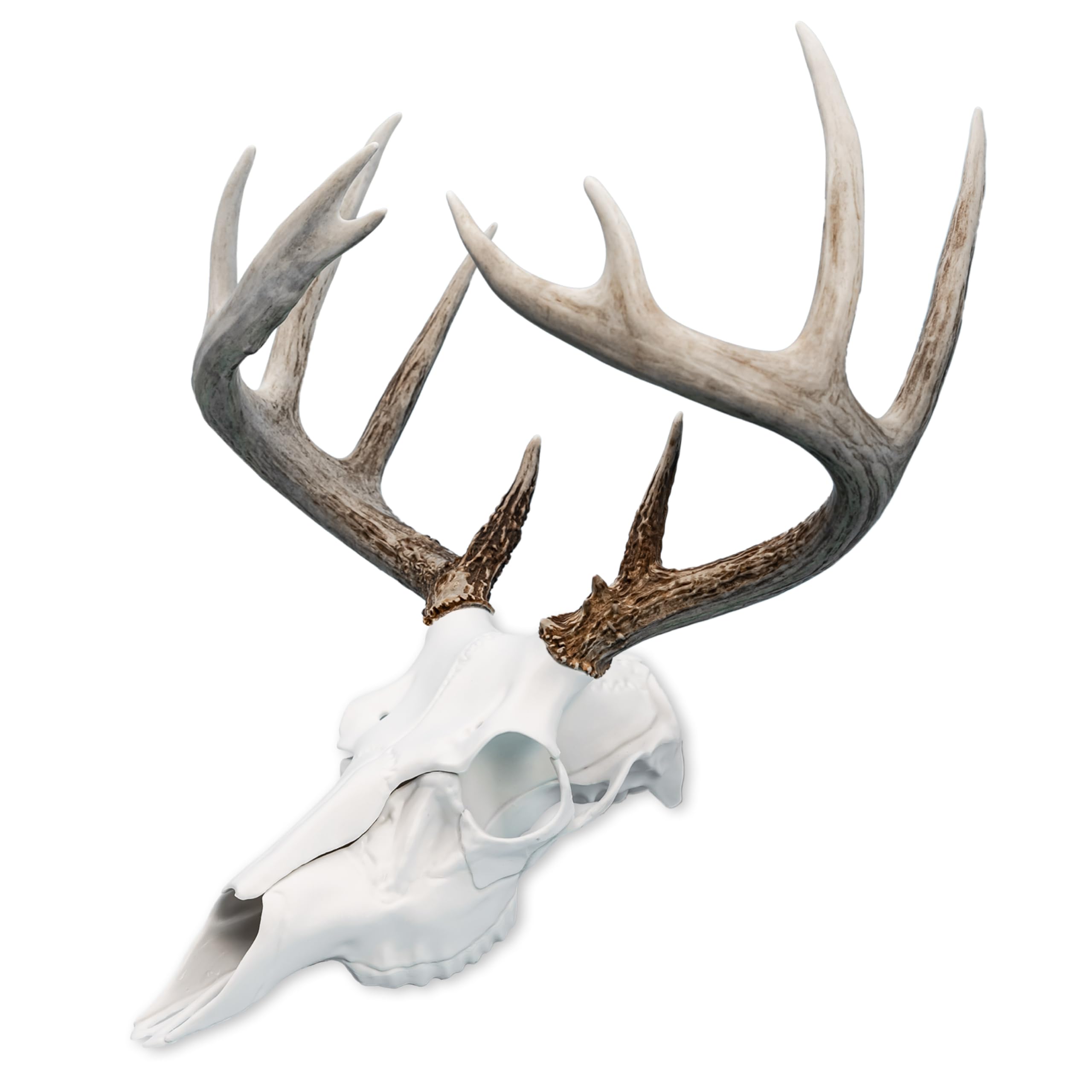 Mountain Mike's Reproductions Skull Master - European-Style