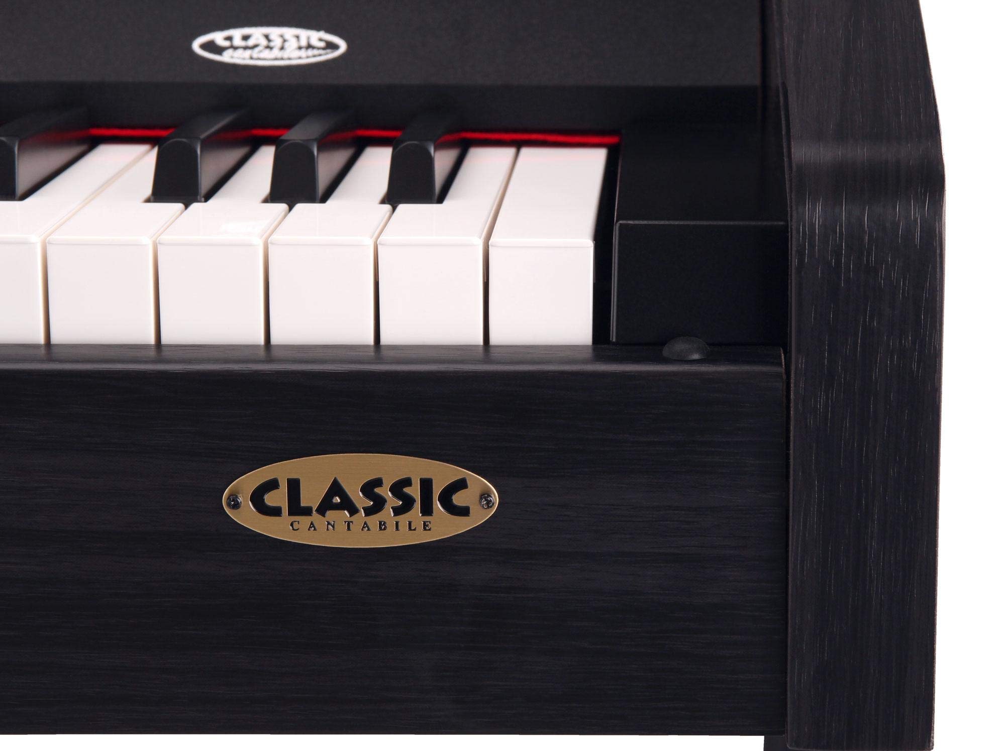 Classic Cantabile DP-210 RH E-Piano Bois de Rose, Polyphonie 64 voix | Clavier HA-88-S500 avec 88 touches à mécanique à marteaux, Soft, Medium, Hard, 1 morceau démo interne, 26 sons WMA, Chorus