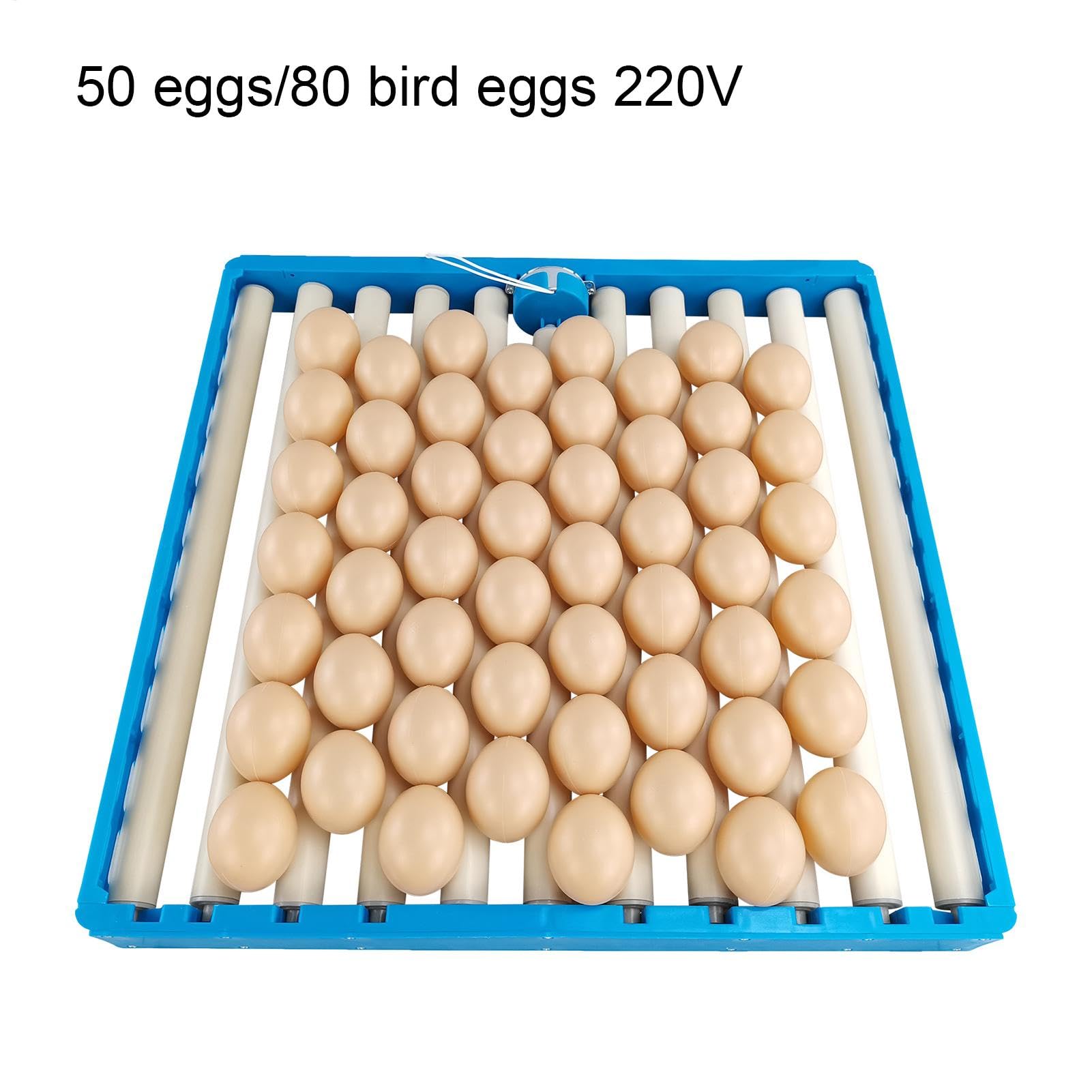 Incubatore Egg Turner | Automatico - Vassoio girevole per schiudere le | uova | Broodter - Incubatore per polli, anatre, quaglie, di, tornere, volatili, rotazione regolabile '