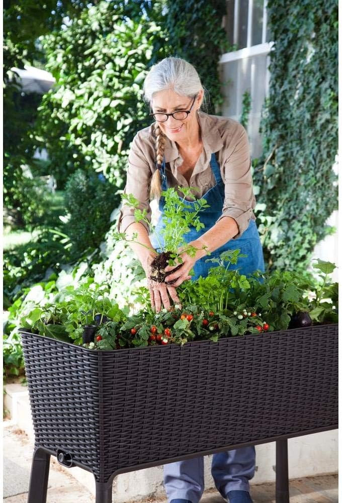 A person planting small green plants into the Keter Easy Grow Planter, which is filled with soil.