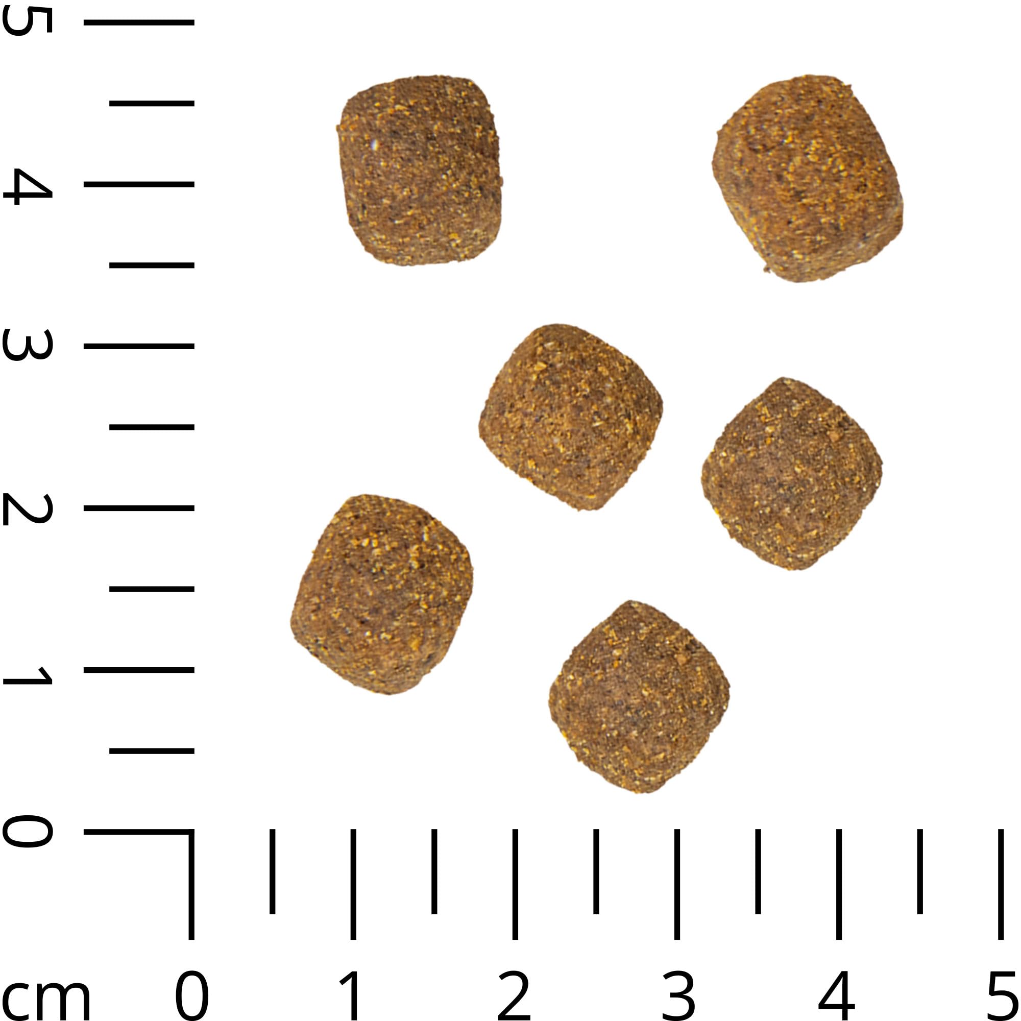 Veggie Dry - vegetarisches Hundefutter - ideal für alle Fleisch Allergiker 12 kg - Schecker Trockenfutter für Hunde