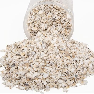QEQEKAKA Crushed Oyster Shells About 2LB (880g/31OZ) Contains Calcium Small Natural Crushed Shells Bulk