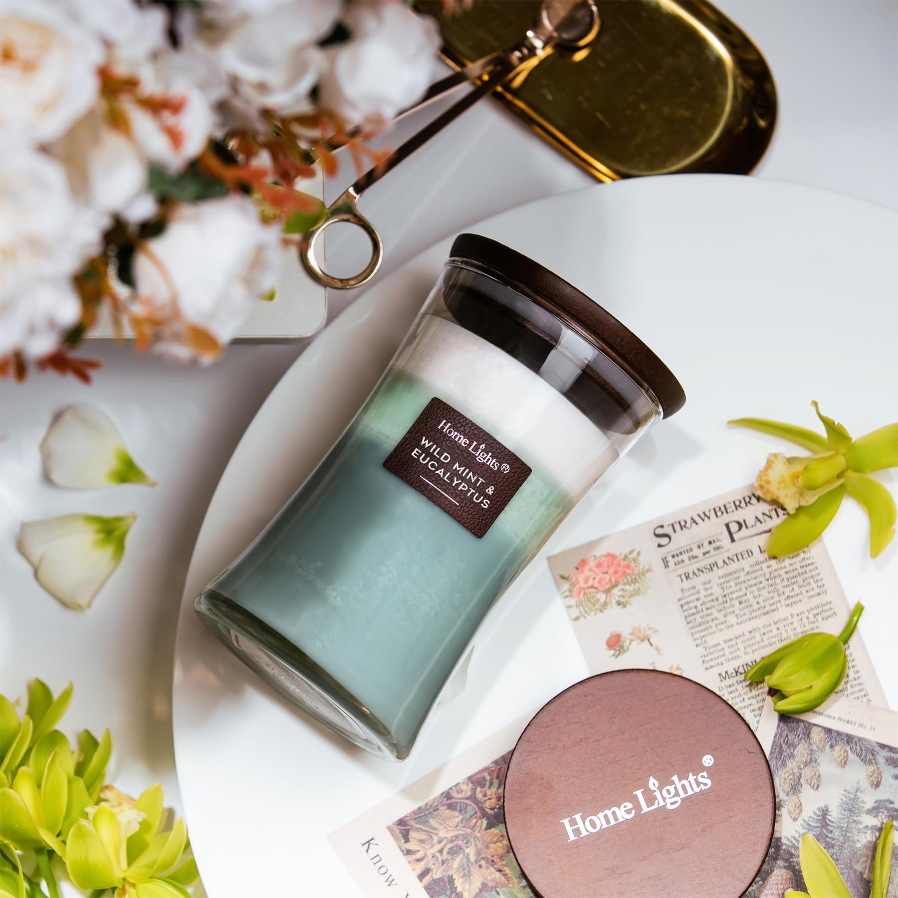 HomeLights - Velas perfumadas de 3 capas para el hogar, velas perfumadas de cera de soja natural de 21 onzas que duran hasta 100 horas, tarro grande, menta silvestre y eucalipto