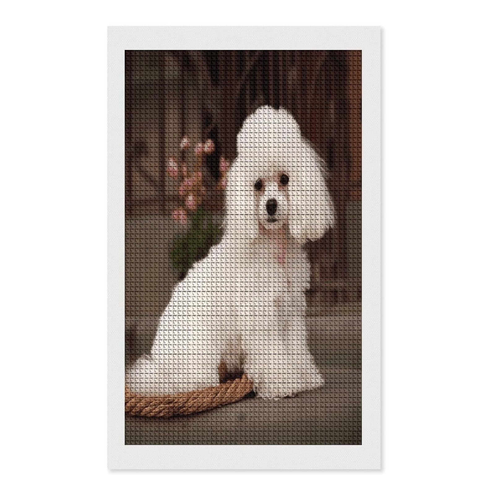 FodPand French Poodle Diamond Painting Kit for Beginner Fun 5D DIY Crafts for Adults Diamond Art Kits Square Diamond Art Canvas Painting Gem Art Crafts for Home Wall Decor 12"x20"
