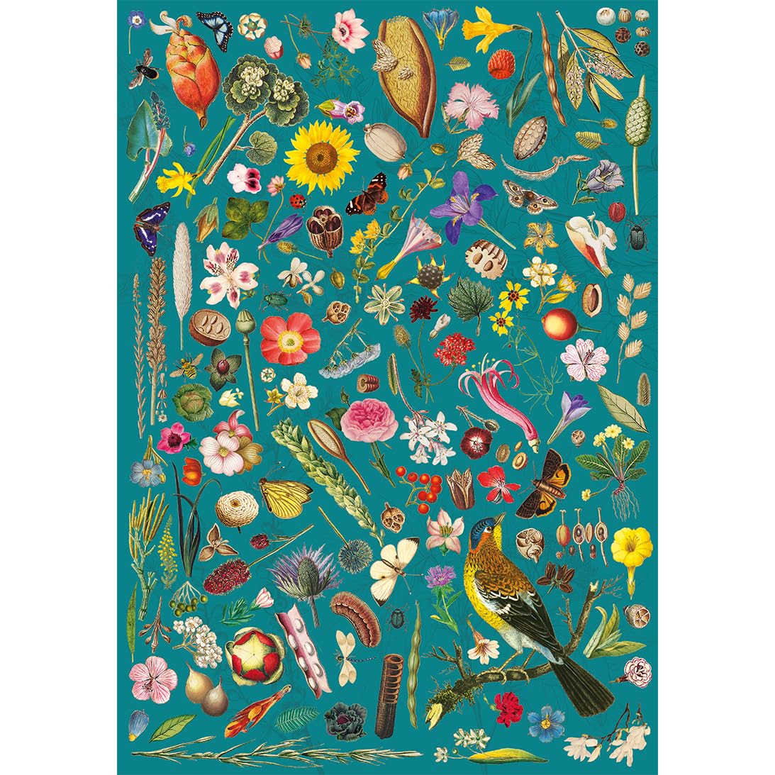 Gibsons RHS Floral Fantasy 500 Piece Jigsaw Puzzle Beautiful Botanical Artwork Nature Plants Insect Sustainable Jigsaw Puzzle for Adults Teens Premium 100% Recycled Board Great Gift Gibsons Games - Image 2