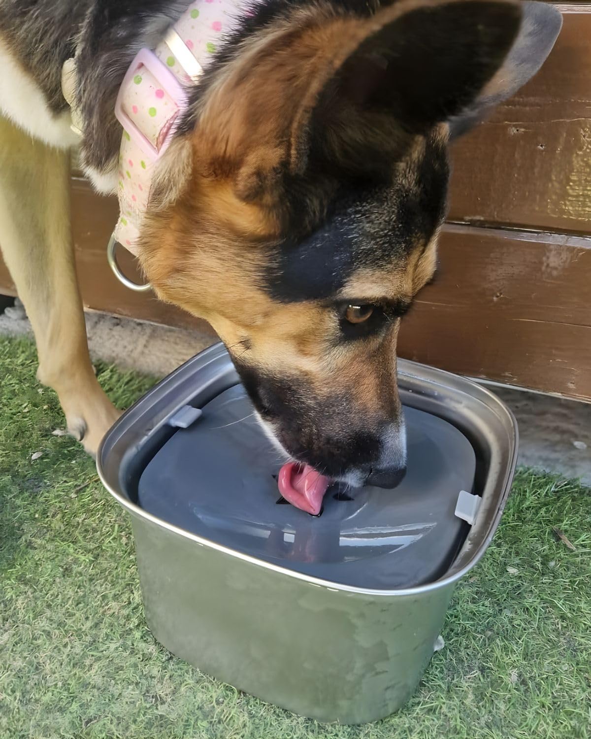 Gamelle pour Chien - Capacité 3L - Bol Anti Eclaboussure Débordement Renversement - - Gamelle Chien - Distributeur Sacs avec 4 Sacs Inclus