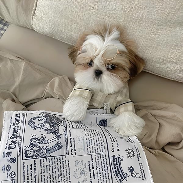 犬専用新聞おもちゃ 犬 おもちゃ 噛むおもちゃ 音が鳴る 知育おもちゃ 清潔 歯磨き 耐久性 噛み耐性 水洗いOK ストレス解消 ペットおもちゃ(27*18.5cm,新聞紙) - 4