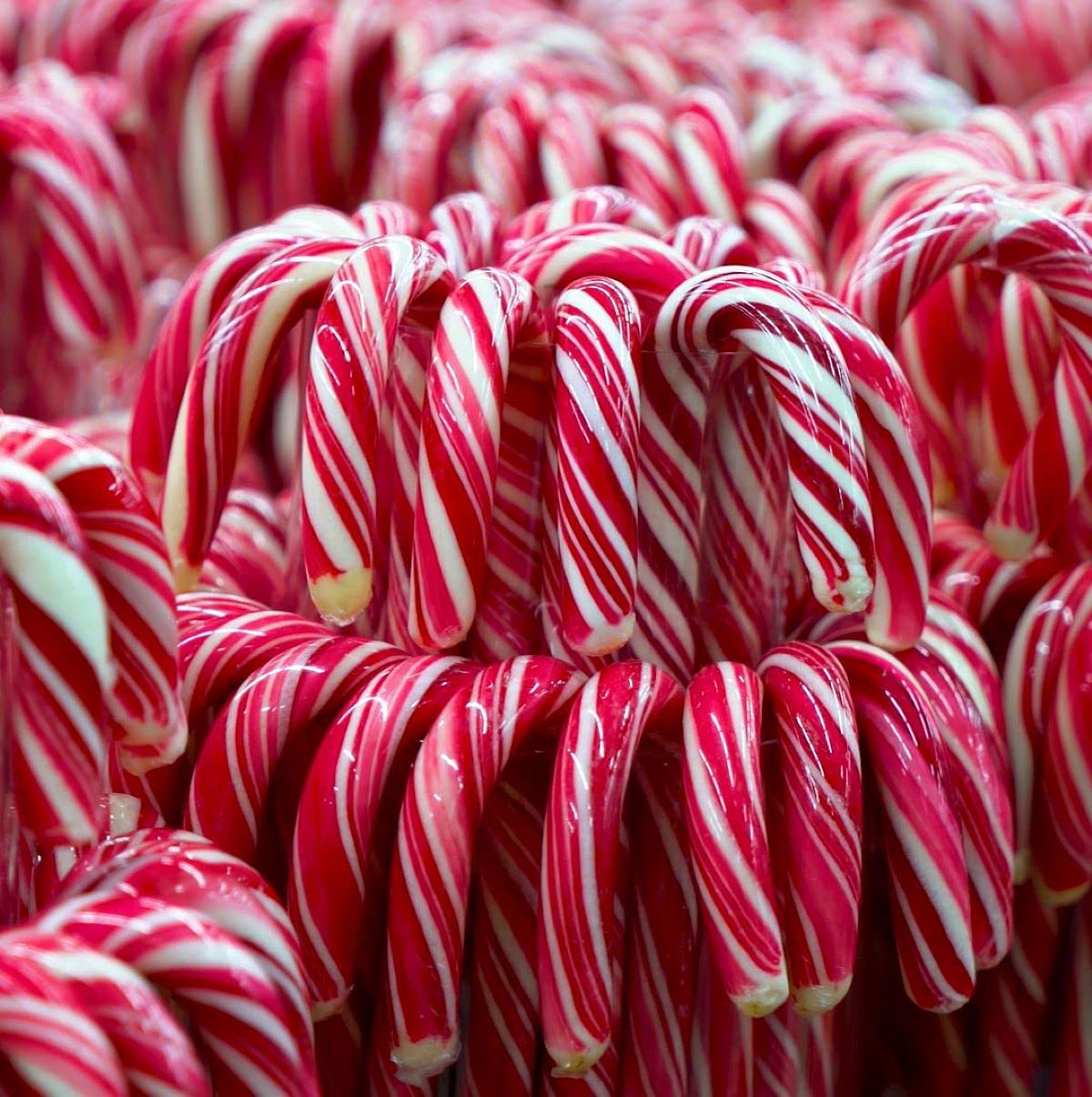 Spangler Classic Red and White Peppermint Candy Canes Natural