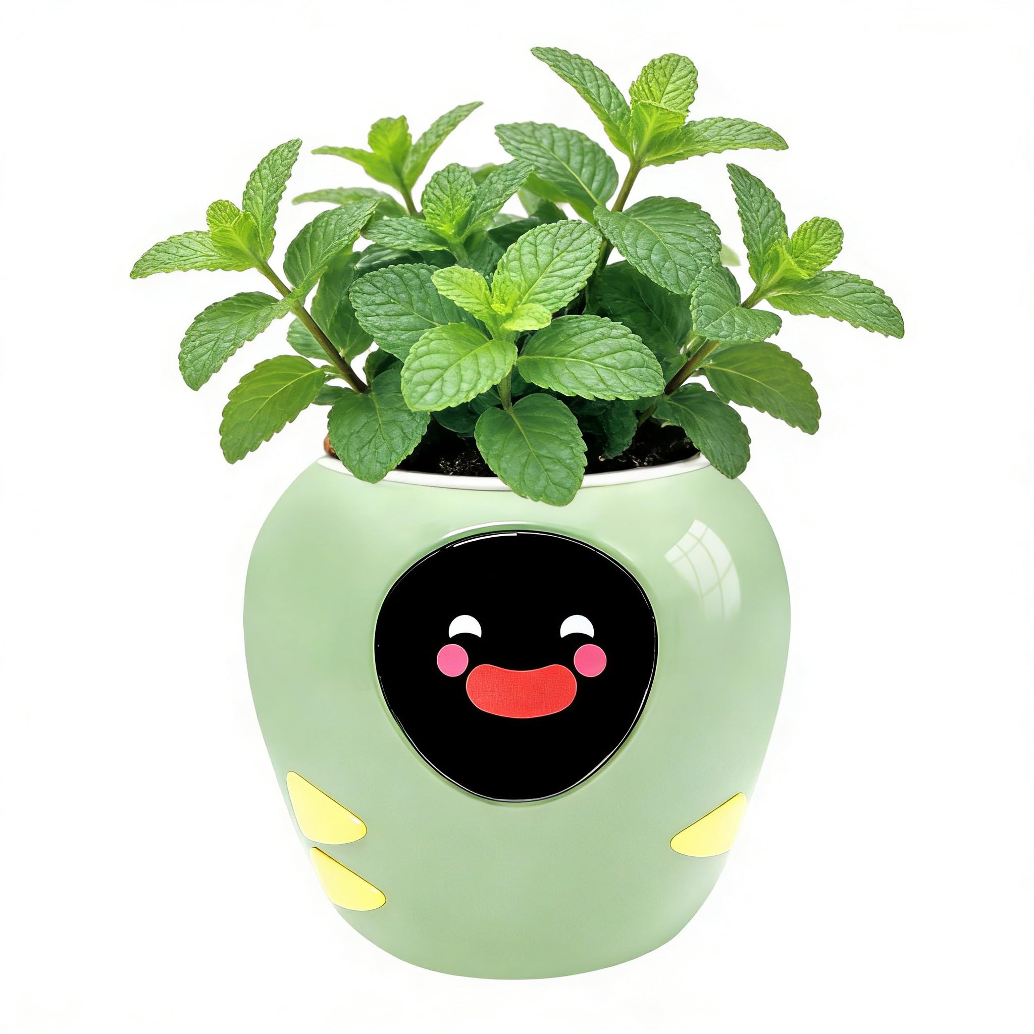 OUSEITECH Upgraded Large Smart Pet Flower Pot, Planting Assistant With Lively Expressions For Plants To Converse With You, Various plant care data, Moisture/Soil/Light/Temperature Monitoring