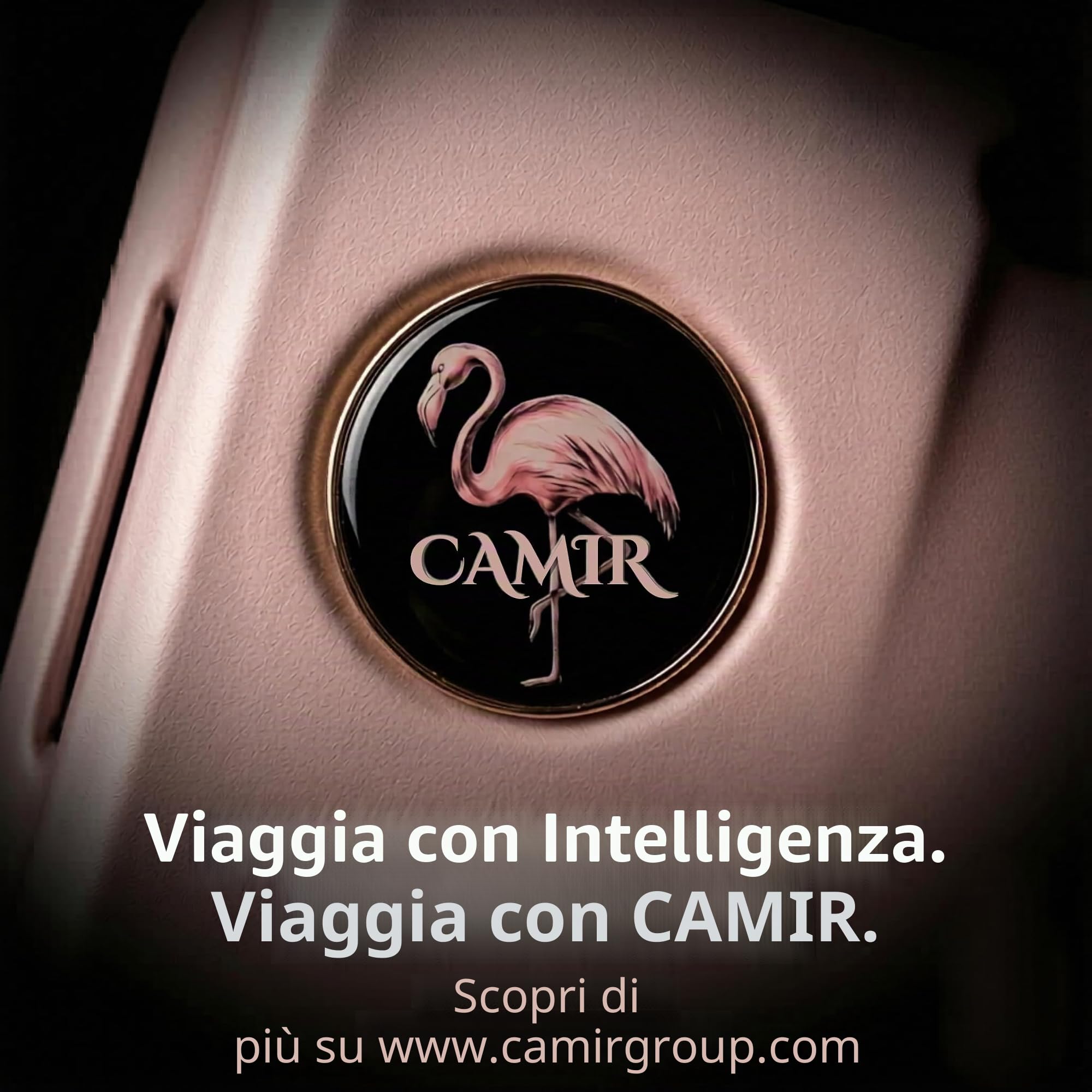 CAMIR-Valigia da cabina con USB Smart Bagaglio Trolley a mano Borsa multiuso Tasca frontale Bagaglio a mano portatile 4 ruote, Valigia da cabina con lucchetto TSA 55x35x23,5 ABS+PC (ROSA)