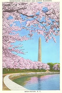 ART.COM Wall Art Print Cherry Blossoms, Washington Monument, Washington D.C., 12" x 18"