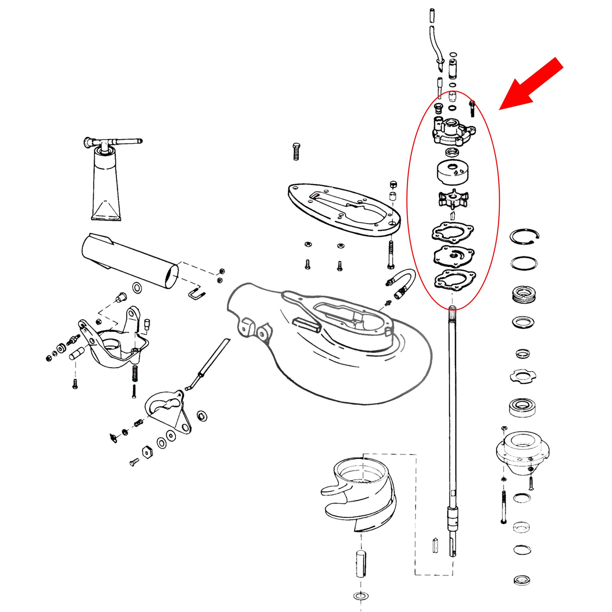 A.A Wasserpumpen-Laufradgehäusesatz Ersatz für Johnson Evinrude 35 PS - 0391631, 0388891