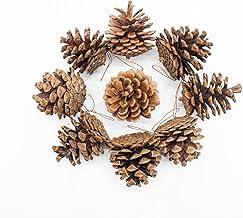 TRIXES 9 Pcs Pine Cone Hanging Decorations Christmas Tree Decorations Natural Cones for Baubles Wreaths Garlands Ornament for Home Indoor Outdoor