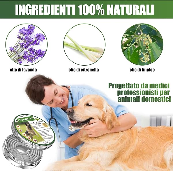 Collare Antipulci e Zecche per Tutti i Tipi di Cani, Regolabile Impermeabile, Antiparassitario, 8 Mesi di Efficacia Protezione, 63cm Taglia Unica (2pack) - 3
