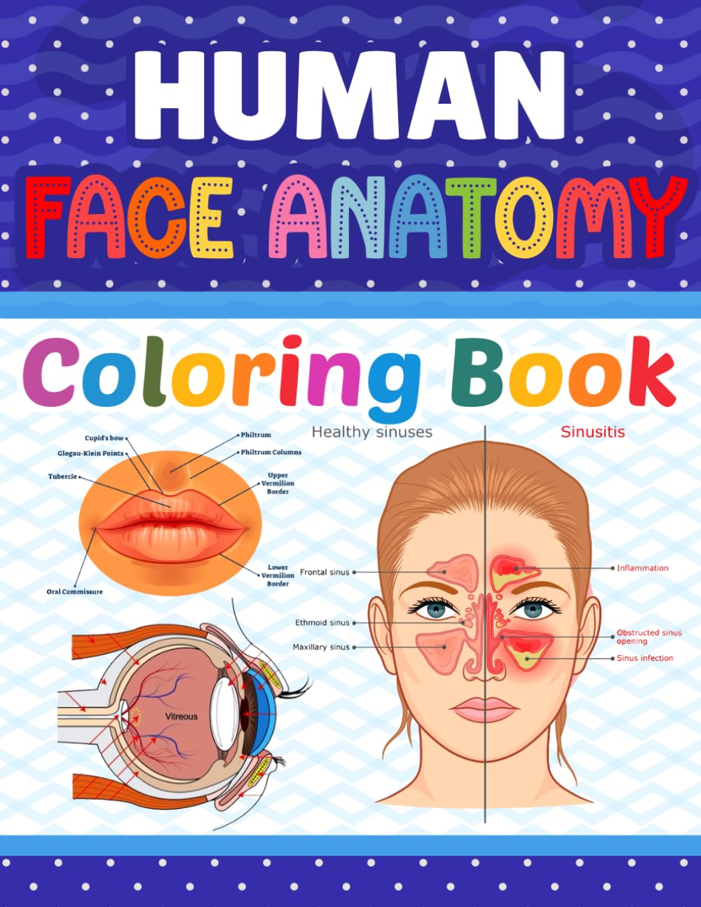 Human Face Anatomy Coloring Book: Learn The Human Face Anatomy in a Fun and Easy Way. It Will Be Great For Medical Students and Teachers To Learn Human Face Anatomy Easily.