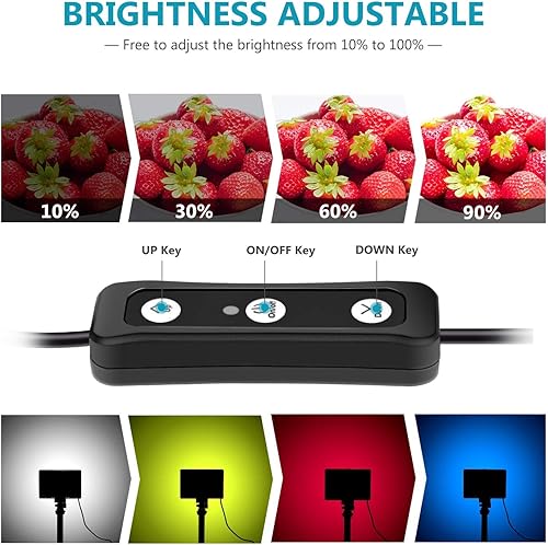 Miniatura 4 de Newks Paquete de 2 luces LED USB regulables de 5600 K con soporte de trípode ajustable y filtros de color para mesadisparo de ángulo bajoiluminación