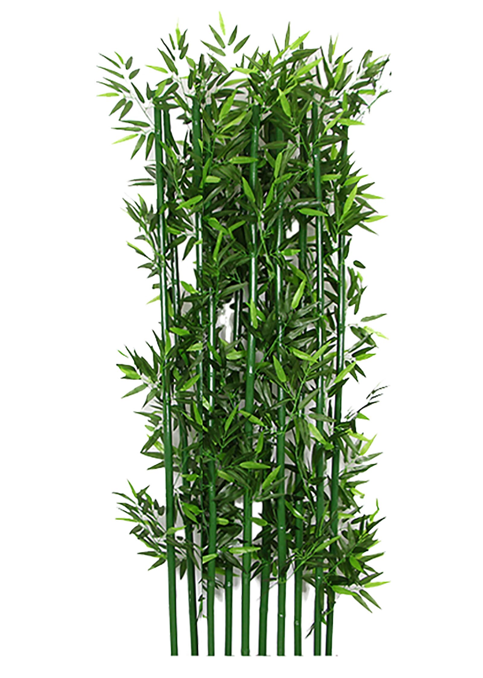 Amazon｜10本の竹 人工竹 観葉植物 本物 竹垣 竹林 ガーデニング
