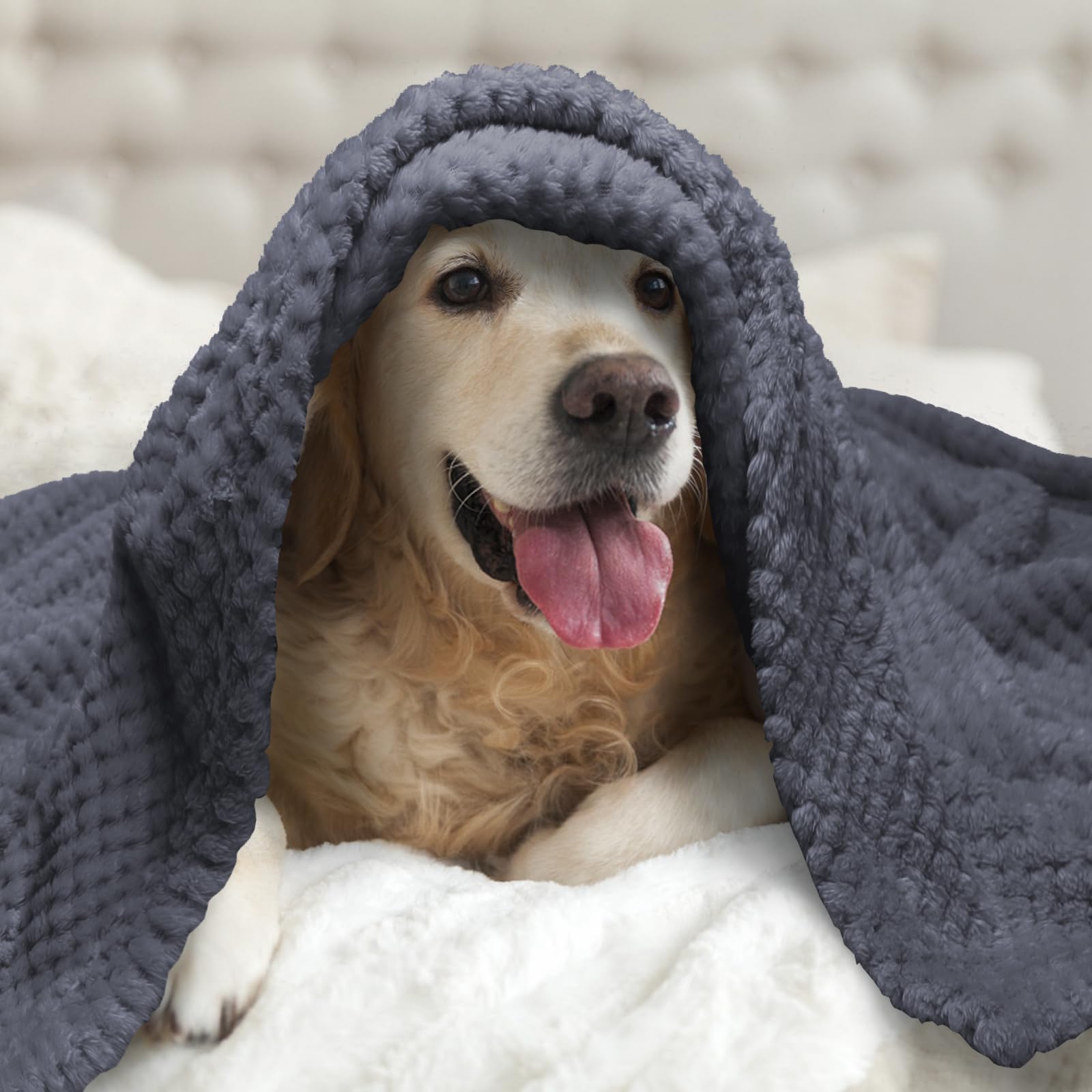 Nobleza Morbida Coperta in Pile per Cani e Gatti Confezione Color Grigio Misure 80 * 80cm