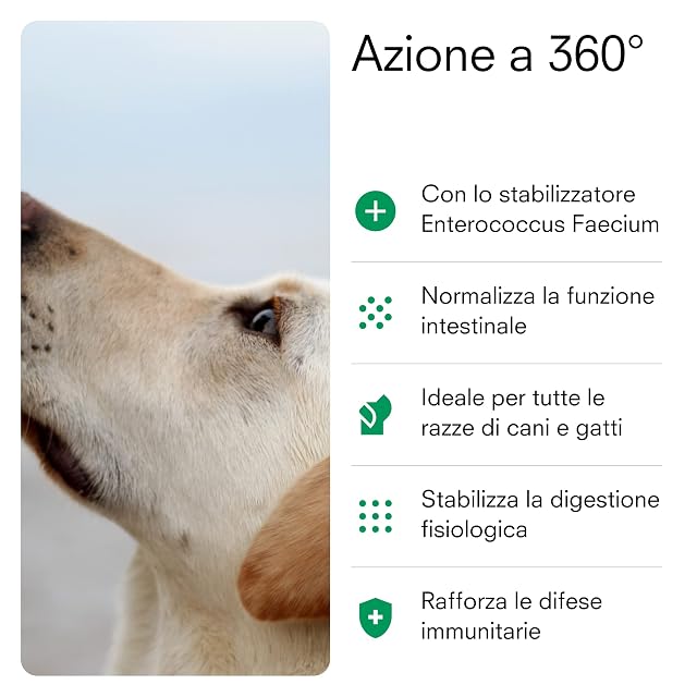 Foto 2 de 8 de lelapo Fermentos, Suplementos Probióticos 60cps Naturales Perro y Gato - Ayuda a la digestión