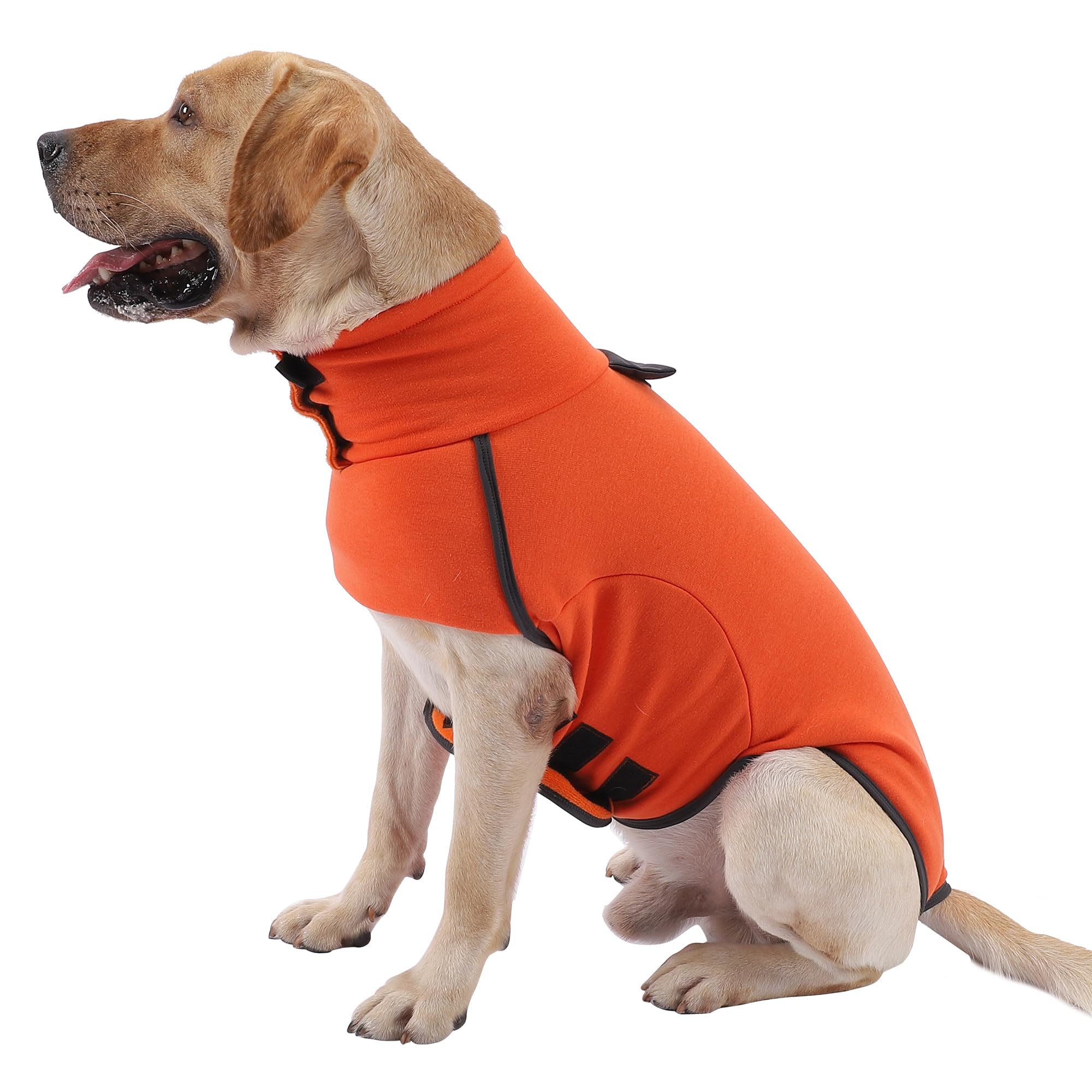 Combinaison pyjama intégrale pour chien et manteau d'hiver en molleton pour petit et grand chien