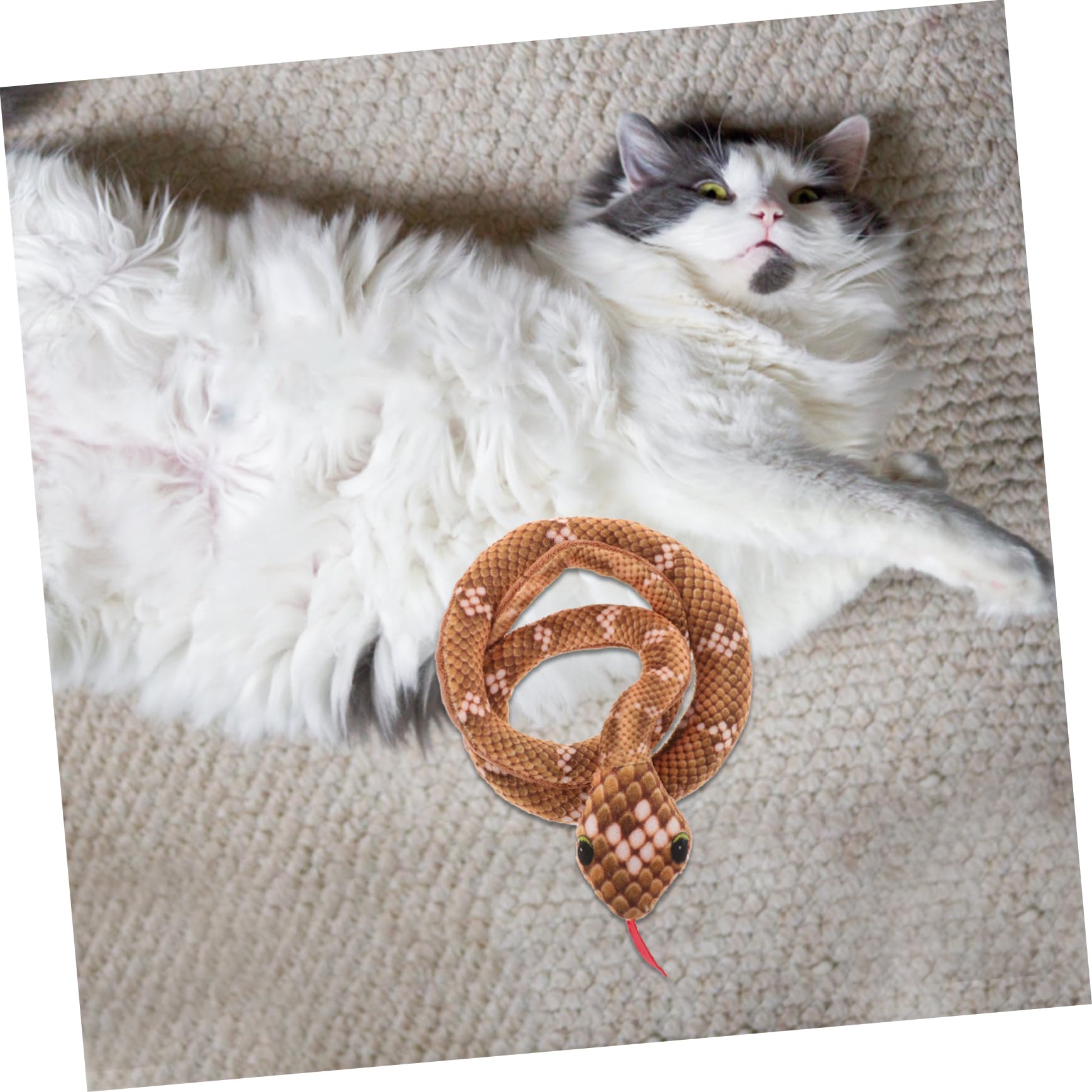 Jouet Serpent pour Chat Herbe à Chat Intégrée Jouet Interactif Intérieur