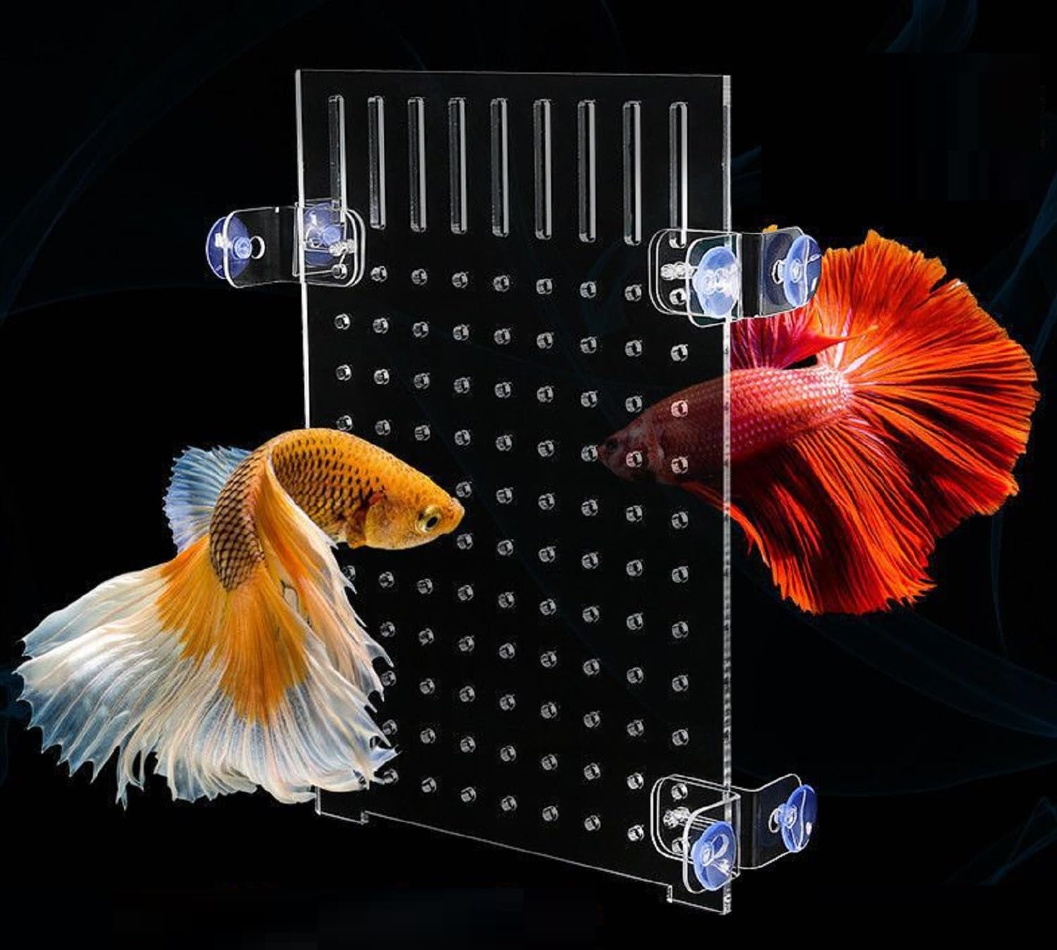 siawadeky アクリル 水槽仕切りセパレータ 20*30cm ゴム吸盤付き 透明 熱帯魚 稚魚 爬虫類 分割 飼育 隔離 鑑賞 魚の混合養殖用 アクセサリー