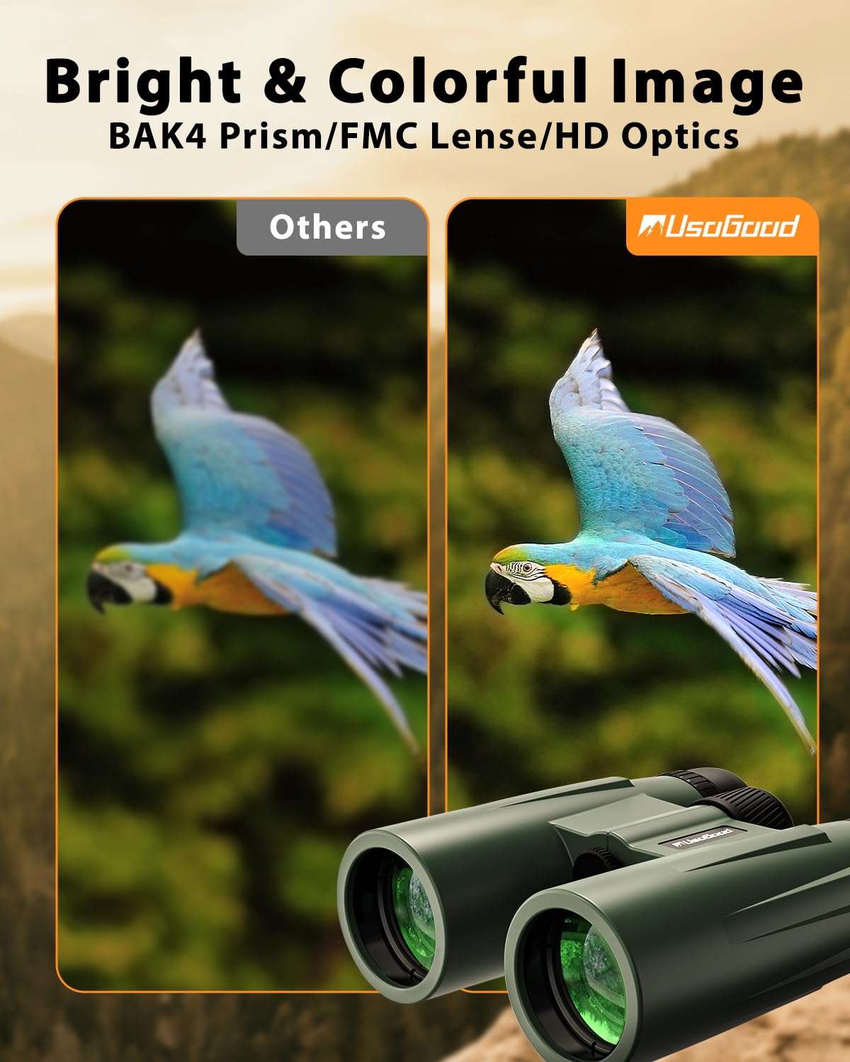 Are 12X42 Binoculars Good for Bird Watching? Expert Insights