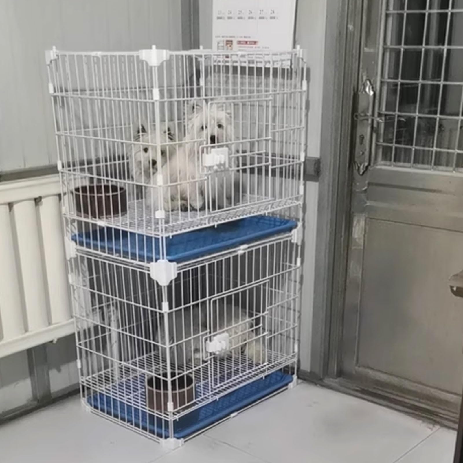 Gabbia per cani a prova di fuga, struttura in metallo con ruote girevoli, design impilabile, doppia porta, ideale per viaggi e sicurezza