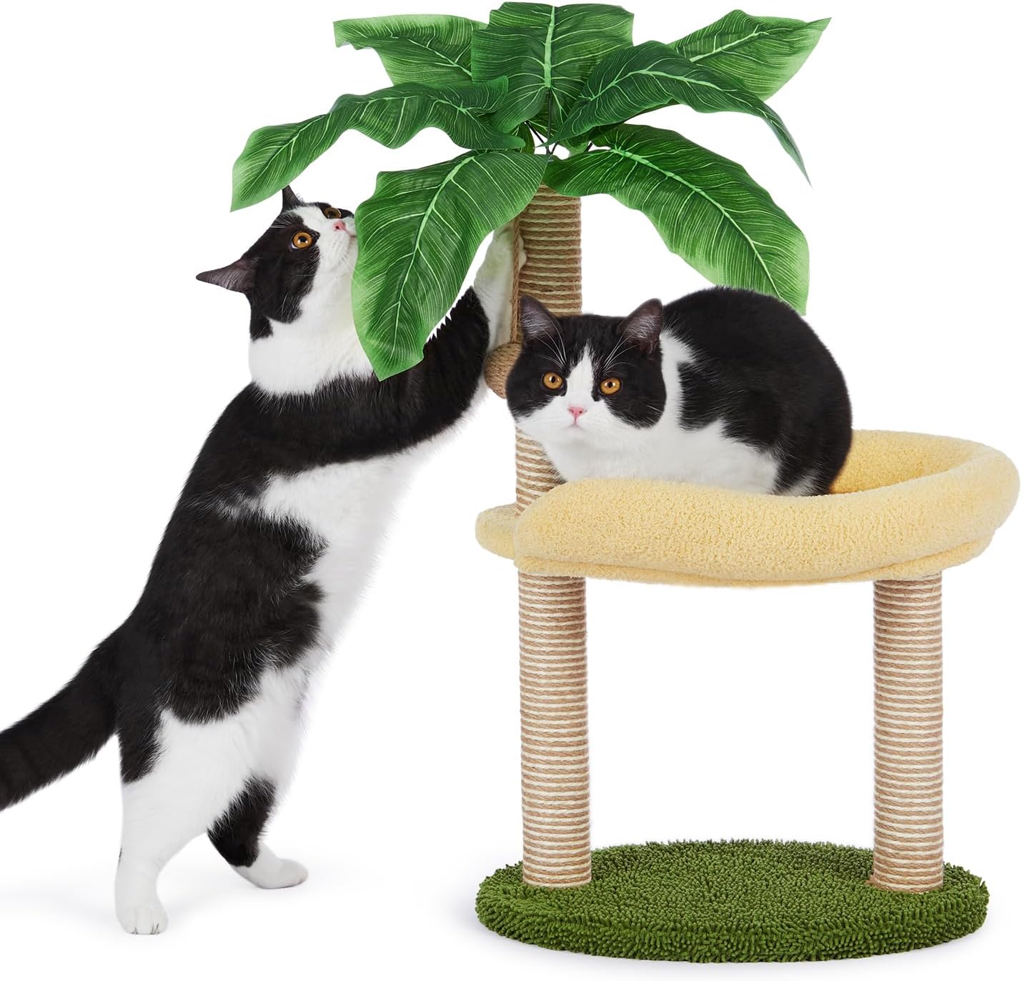 LEMONDA 35" Cat Scratching Post with Bed,2 Tier Cat