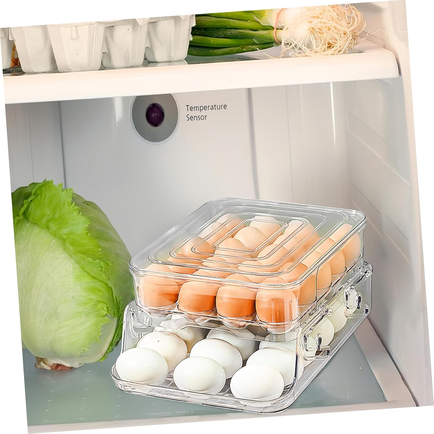 PRETYZOOM 2-Layer PET Egg Box with Lid Automatic Rolling Egg Dispenser for Refrigerator Stackable Holder Organizer for Kitchen Storage
