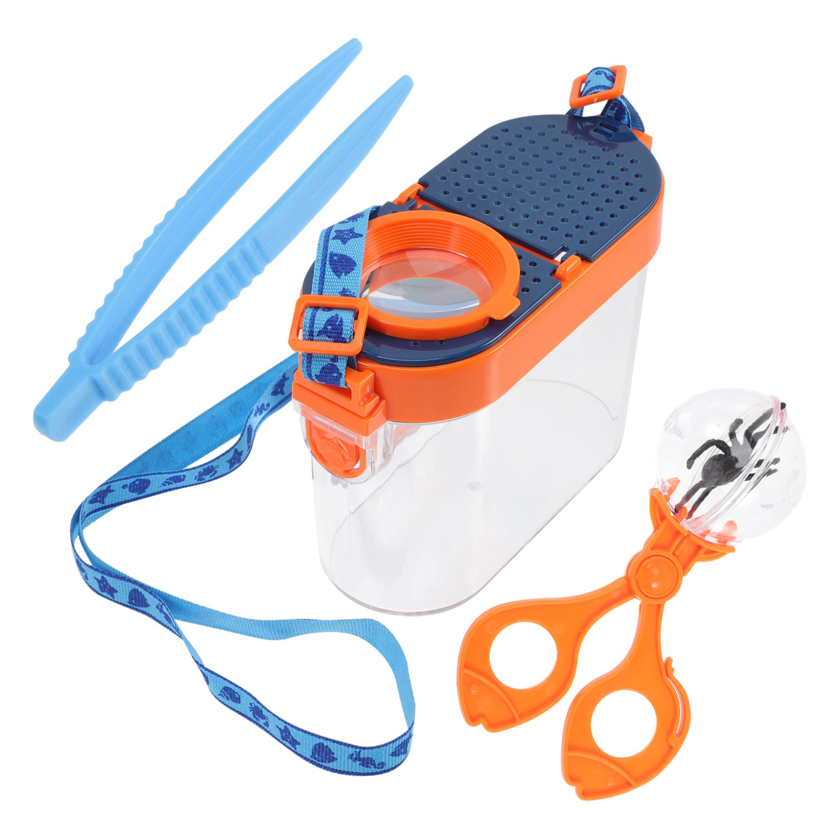 KONTONTY Insektenbeobachtungsbox