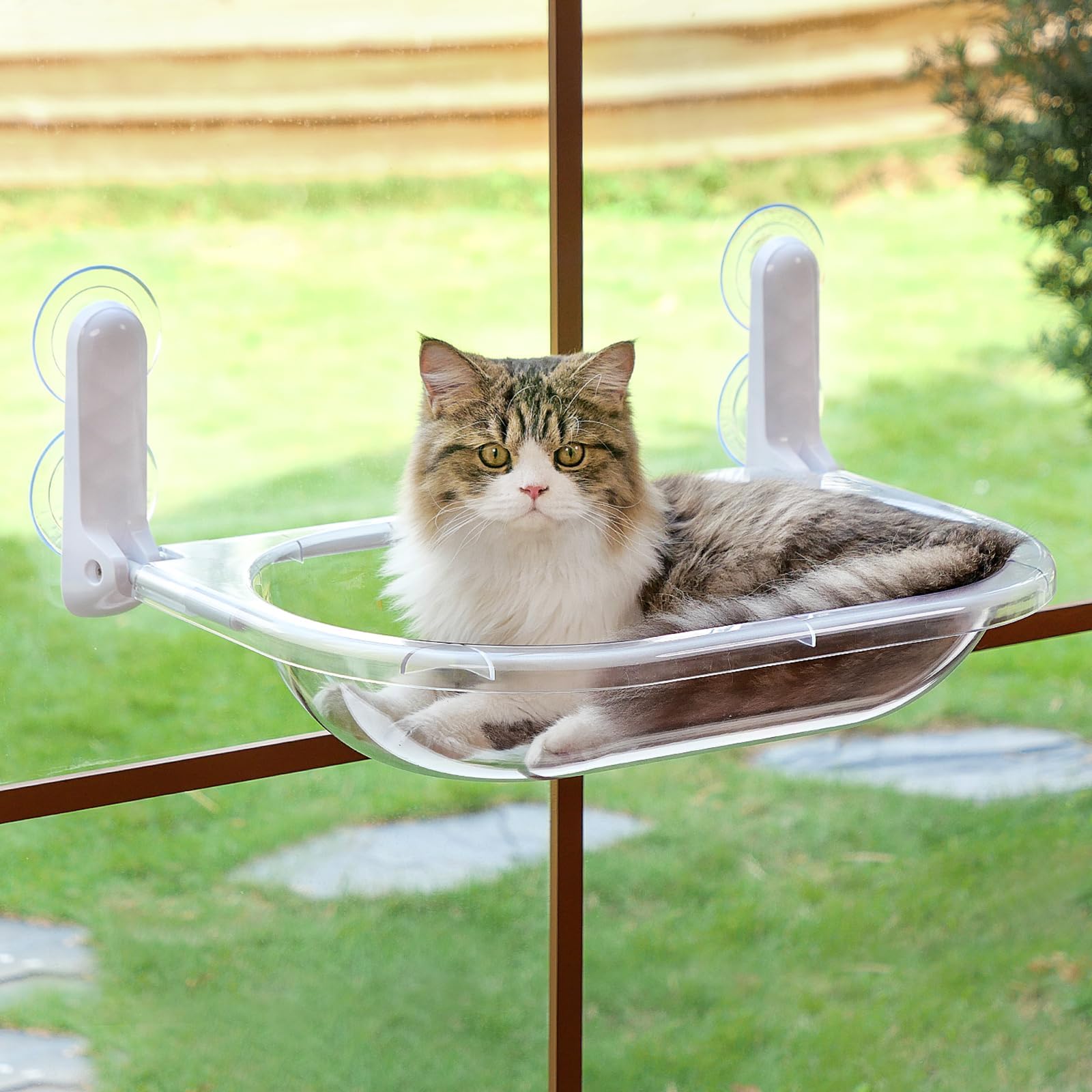 EDAGNY Perchoir Chat Transparent, Hamac-Lit Capsule Spatiale Solarium 10kg