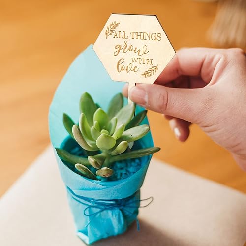 Miniatura 4 de AnyDesign 30 etiquetas de plantas hexagonales de madera con estacas para plantas de jardín para semillas, macetas, regalo de agradecimiento para