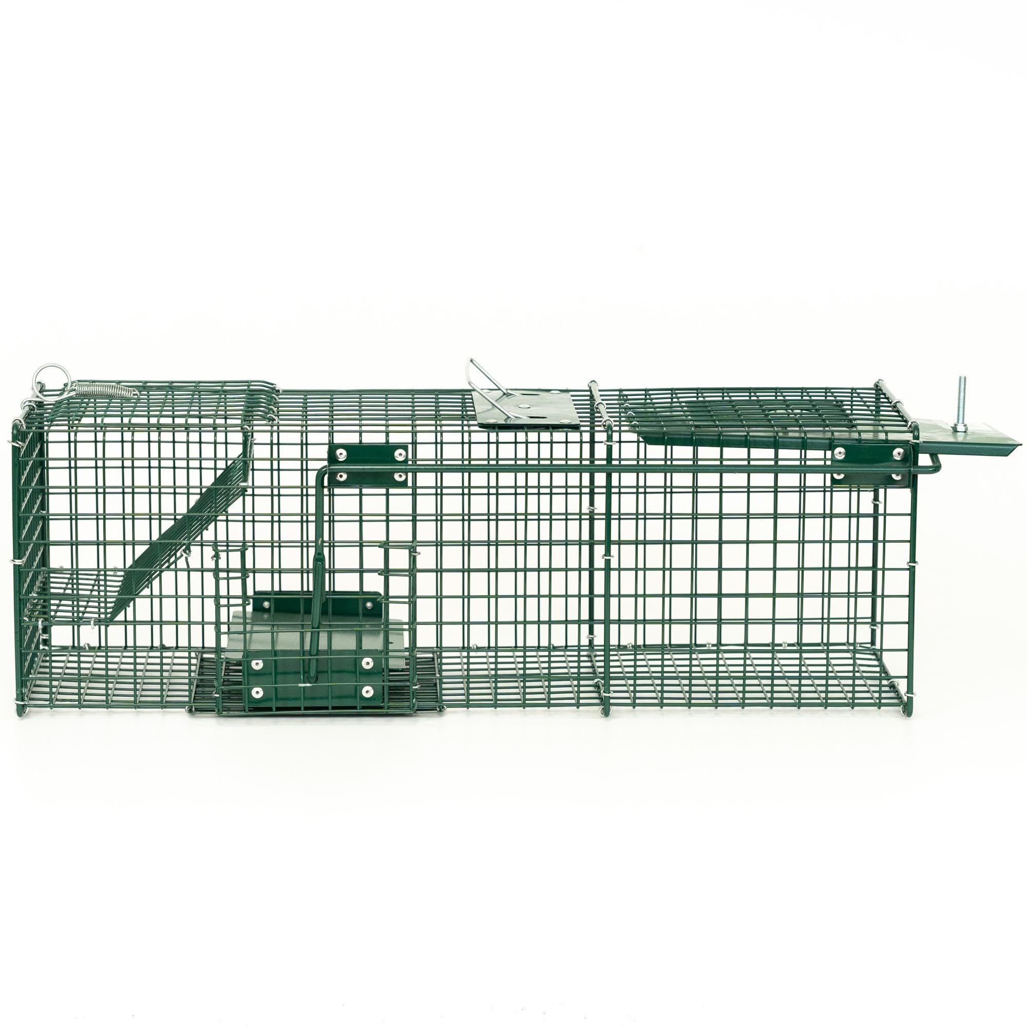 ITA Trappola 6017IT - 60x20x20 cm - 1 Porta, Resistente agli Agenti Atmosferici, Riutilizzabile, Montata