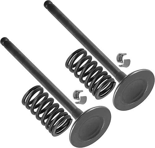 Caltric Juego de 2 válvulas de admisión compatibles con Polaris Sportsman 500 1996-2001 Scrambler 500 2x4 4x4 1997 1998 1999-2001