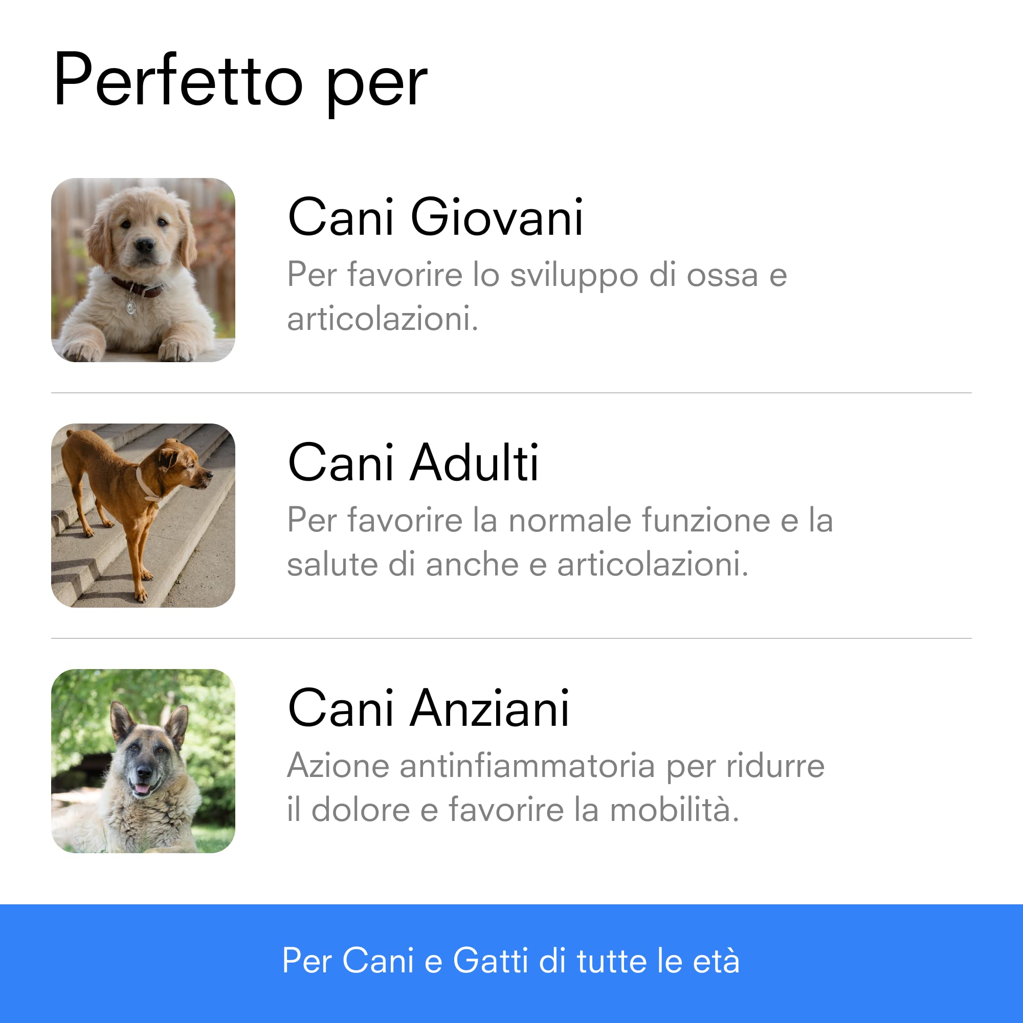 Artri+ Integratore Articolazioni Cane 90 Capsule Appetibili Mangime Complementare 500 mg Glucosamina + 280 mg Condroitina Con Artiglio del Diavolo e Boswellia Made in Italy