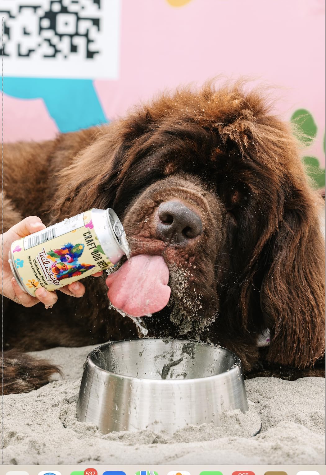 FLAVOR.× PORTER DOG RUCK Amazon.com: Tailwagger Craft Dog Beer - Chicken Porter Flavor